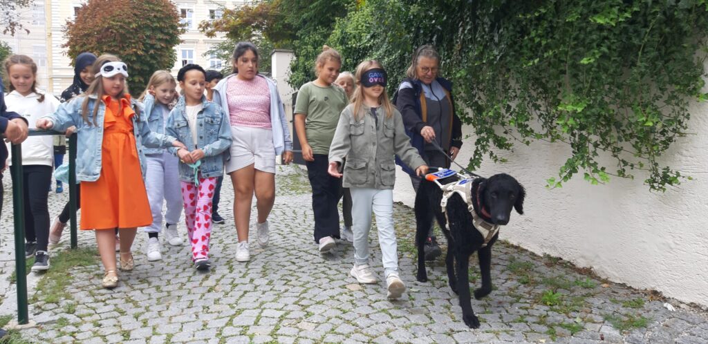 Eine ganze Gruppe Kinder geht mit einem Mädchen mit, welches von einem Curly Coated Retriever geführt wird.